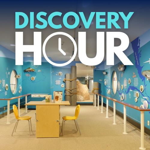 Title text over photo of the NYSM's Discovery Place