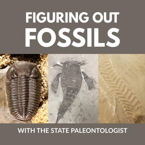 title text over photos of fossils, including a trilobite, eurypterid, and tracks in the sand
