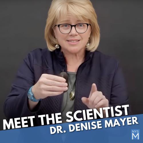 Photo of Denise Mayor holding a freshwater mussel