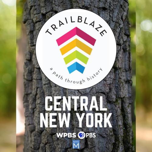 Trailblaze logo with rainbow ribbon stripes over a tree trunk and blurred forest background