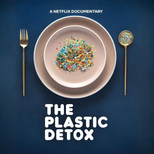 The Plastic Detox title text over image of a cereal bowl filled with multi-colored chips of plastic