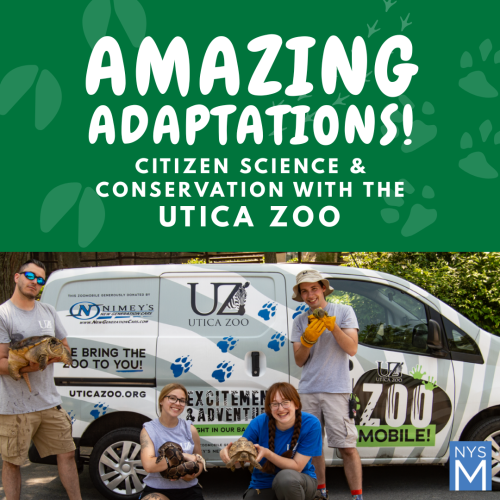 Amazing Adaptations title text over image of a white van and four zoo keepers holding a variety of animals