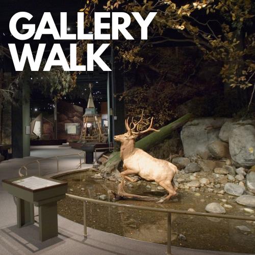 Gallery Walk text over photo of Adirondack Hall, including the taxidermy Elk 