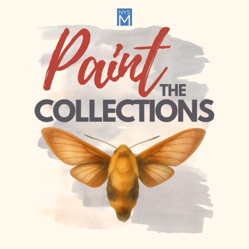 Paint the Collections title text over a water color background with a painted moth