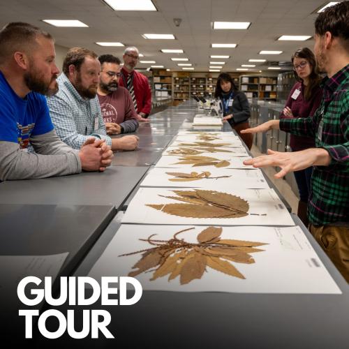 Photo of a scientist discussing plant specimens to a group of onlookers