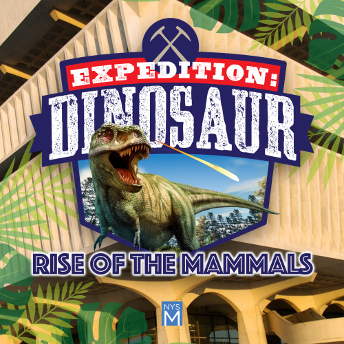 Expedition Dinosaur: Rise of the Mammals