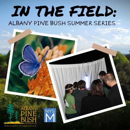 In the Field title text over a background landscape of trees under a soft blue sky. Two polaroid photos are "taped" to the scene, one showing a butterfly, the other showing a group looking for insects on a sheet at night