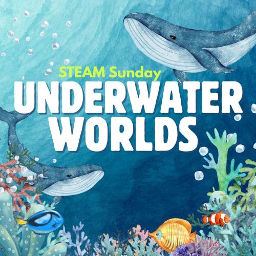 Title text over water color depicting an ocean scene with corals and colorful fish and two humpback whales