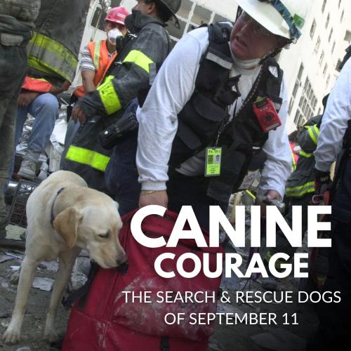 Canine Courage title text over photo of a white lab search and rescue dog and its handler at an emergency site