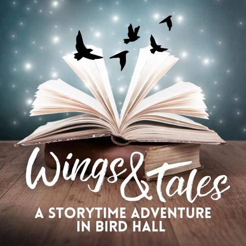 Open book with birds flying above