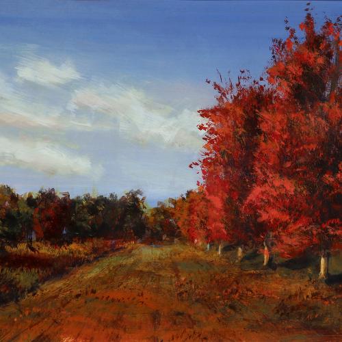 Matthew Velardo