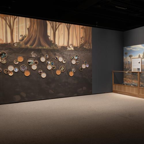 view of two gallery walls at the back of the exhibit