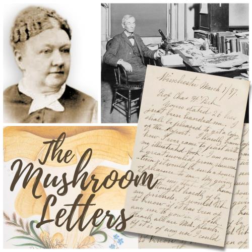 Collage of images including Mary Banning, Charles Peck, a Mushroom Watercolor, and one of Mary Banning's letters to Peck
