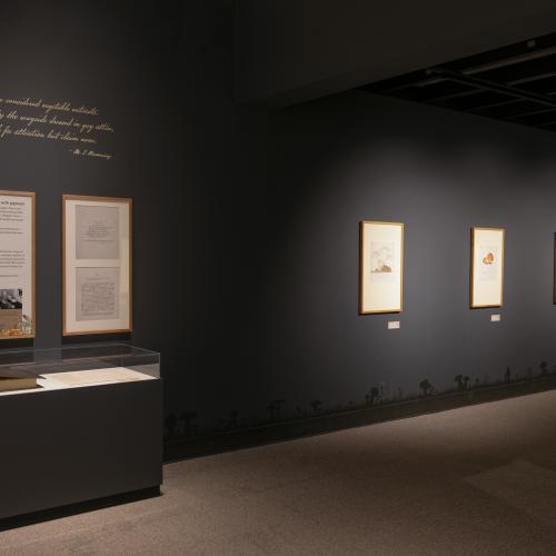 Image of the gallery including exhibit text and a case holding a book and images of Mary Banning's handwritten pages 