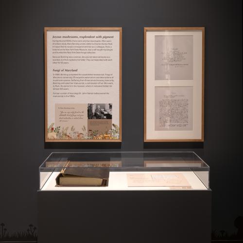 exhibit wall text over a case holding the original binding for Banning's Fungi of Maryland manuscript. On the wall hang Banning's handwritten Dedication and Preface pages