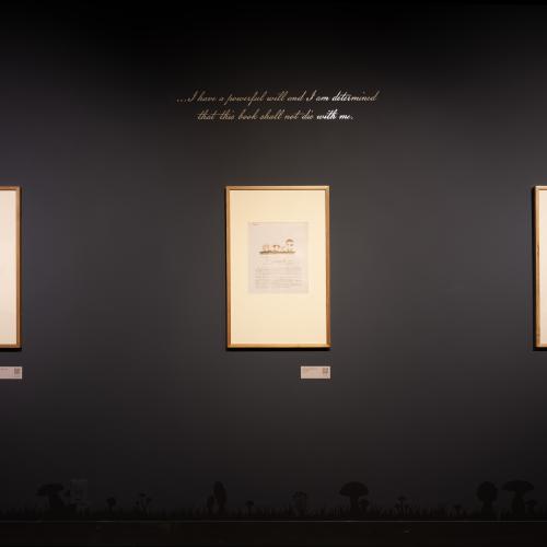 three framed water color illustrations of mushrooms