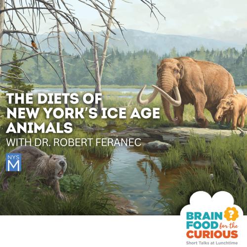 Brain Food for the Curious Logo