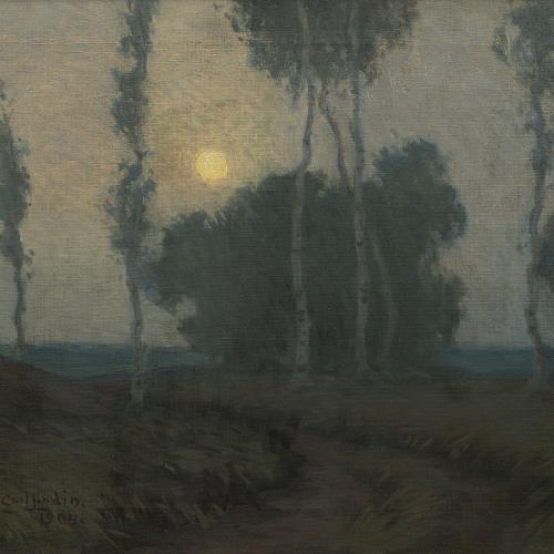 Carl Lindin Moonlight