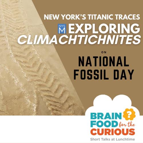 Climachtichnites  & Brainfood logo