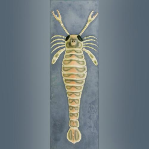 Eurypterid