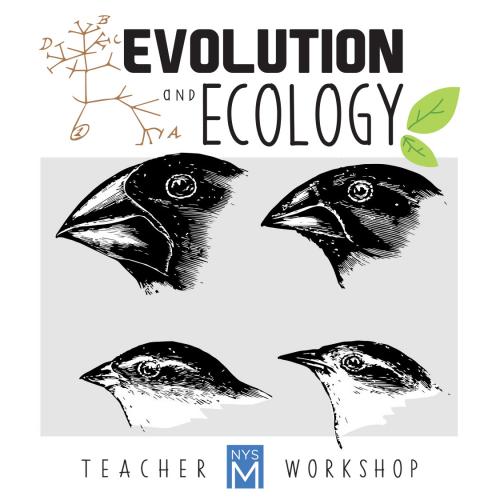Evolution & Ecology Workshop