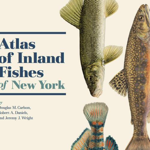 Fish Atlas