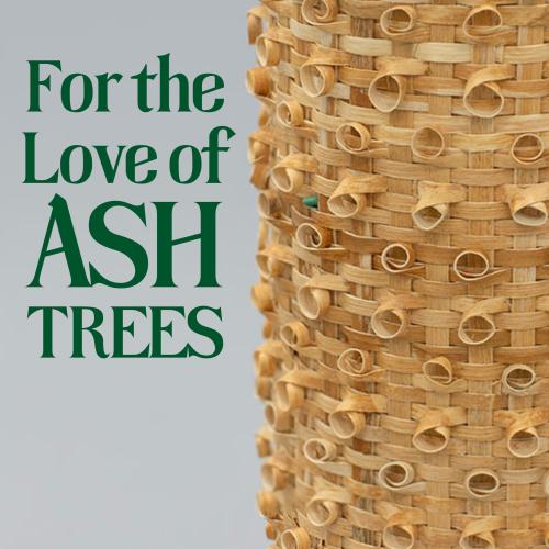 For the Love of Ash Trees graphic with close up of woven basket