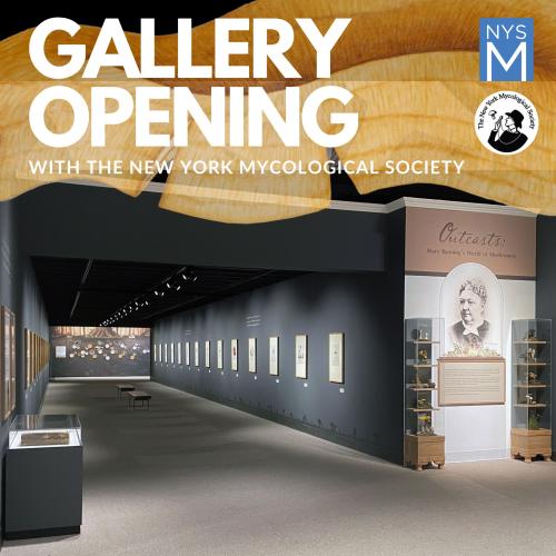 Gallery Opening title graphic with image of the exhibit space in the background