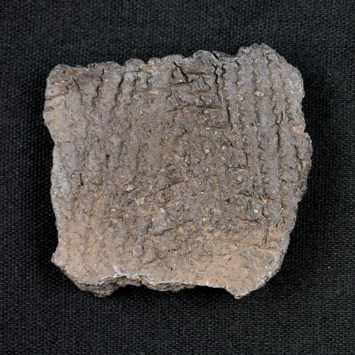 Impressed pottery sherd