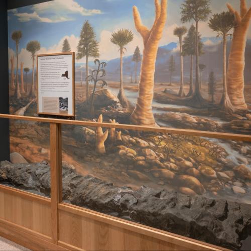 Gallery view of Prototaxites fossil in front of an illustrative mural of the Middle Devonian period