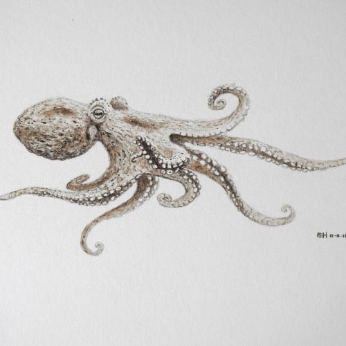 Esther van Hulsen artwork