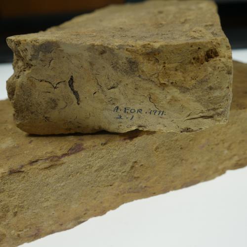 Yellow bricks, ca. 1650s