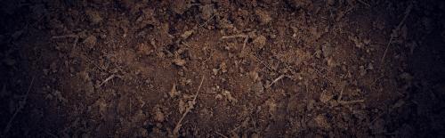 soil.jpg