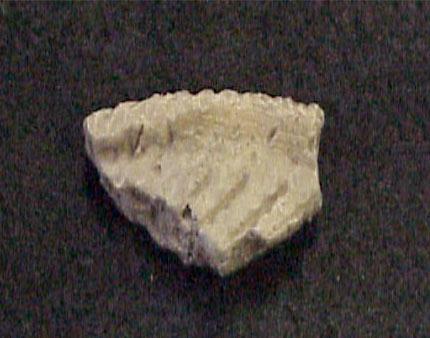 sherd_0.jpg