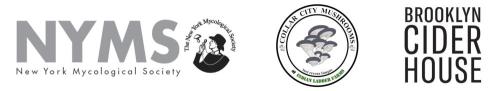 logos.jpg