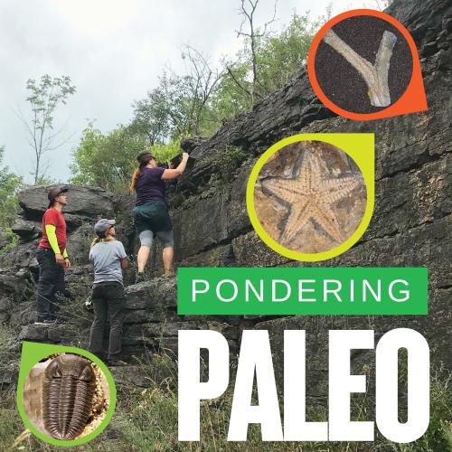 Title graphic "Pondering Paleo" with three scientists investigating a cliff site, and three images of specimens including a trilobite, starfish, and plant fossil