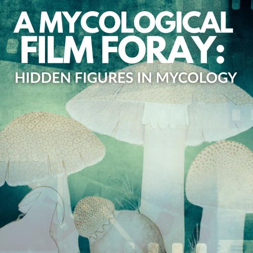 Title text with white mushrooms over ab abstract film background