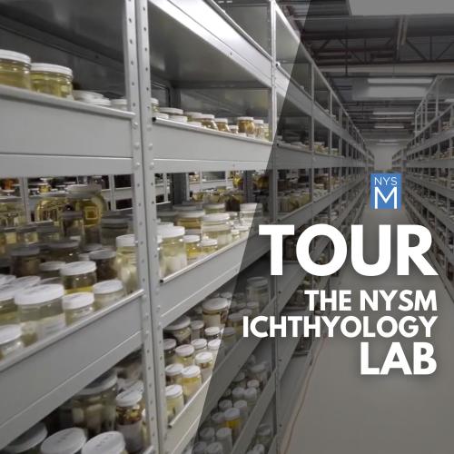 TItle text over a photo of the fish lab