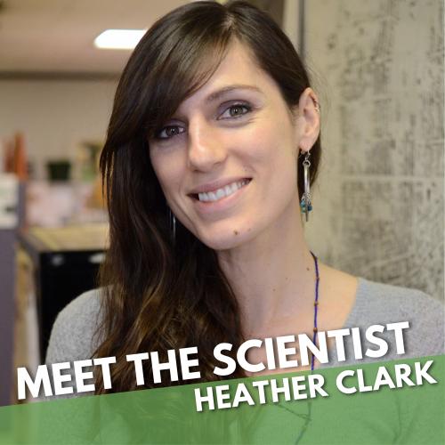 Title text over photo portrait of Heather Clark