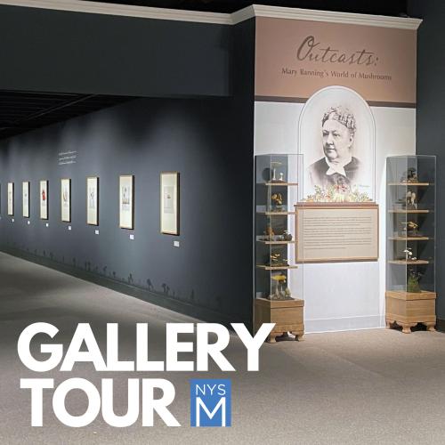 Gallery View of Outcasts Exhibition 