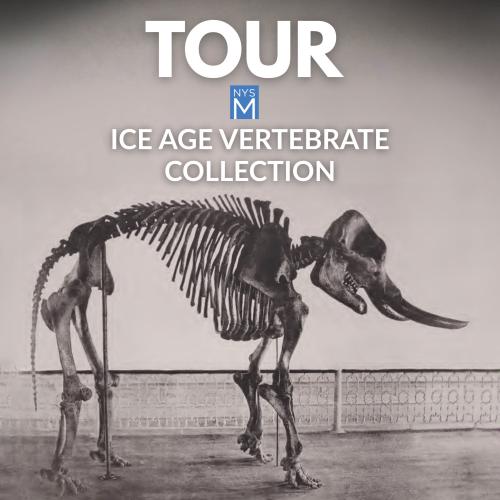 title text over vintage photograph of the skeleton of a mastodon