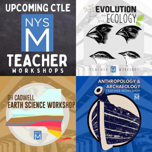 collage of teacher workshop logos