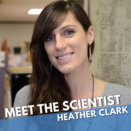 portrait of heather clark