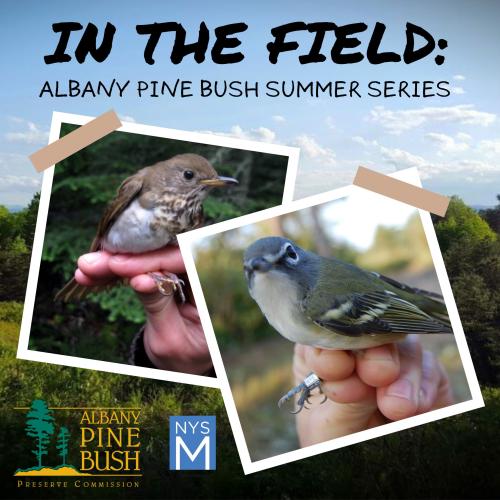 In the Field title text over a background landscape of trees under a soft blue sky. Two polaroid photos are "taped" to the scene, one a brown bird, the other showing a blue/gray/white bird with a band on its leg