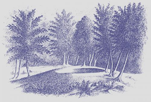 Annular Mounds at Perch Lake