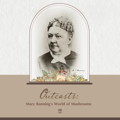 Outcasts title graphic with an image of Mary Banning surrounded by mushrooms painted in watercolors