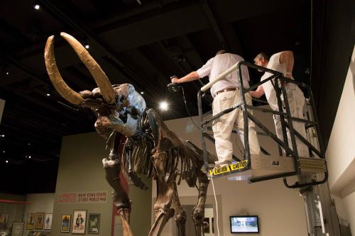 Bernard Means 3-D scan of Cohoes Mastodon