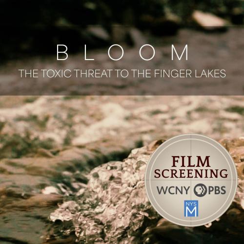 Bloom title image over an image of swirling water