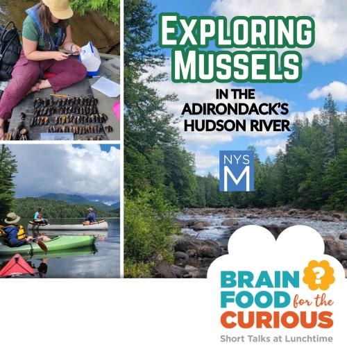 Photos of the Hudson River, Freshwater Mussels being surveyed, scientists exploring the river on kayak