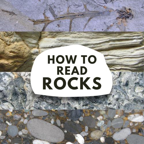 How To Read Rocks graphic with different sedimentary rocks in the background